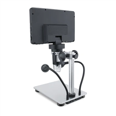 Guide: Choose Between Upright and Inverted Microscopes